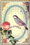 Papaya Art postcard